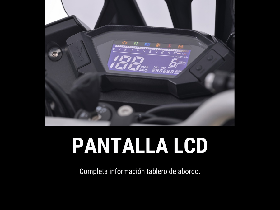 Pantalla LCD 300 rally