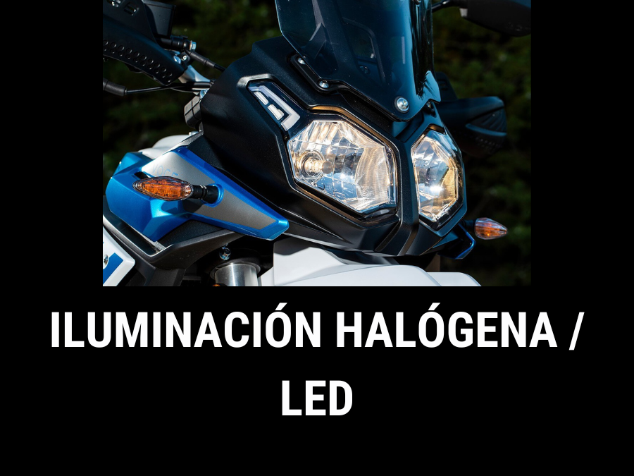 Iluminación halógena rally