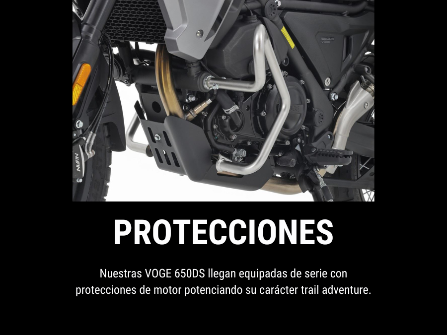 Protecciones 650ds