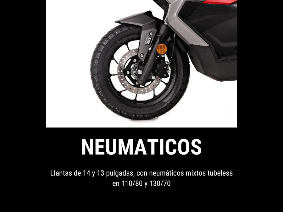 NEUMATICOS SR1 ADV